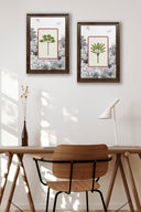 Chaanv - Framed