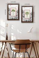 Chaanv - Framed