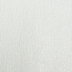 Canvas (Standard)