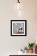 He's Nilgai - Framed