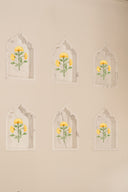 Marigold
