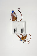 Monkey See Monkey Do