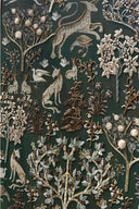 Ranthambore - Standard