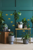 Walk Of Gold (Metallic)